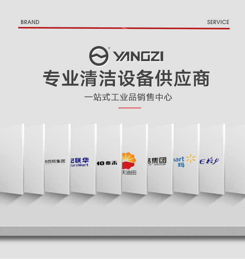 揚(yáng)子DT1三合一電動手推式地毯抽洗機(jī)酒店吸塵器賓館毛毯清潔機(jī)